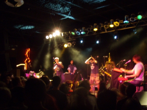 The Cat Empire
