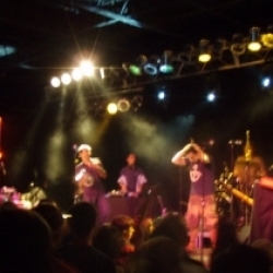 The Cat Empire