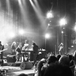 Nick Cave and the Bad Seeds