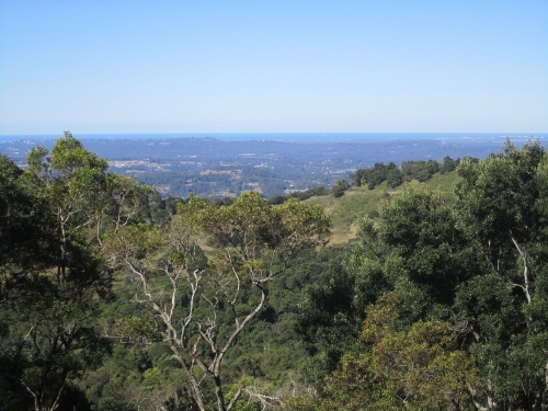 Flaxton, Queensland