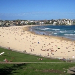 Bondi Beach