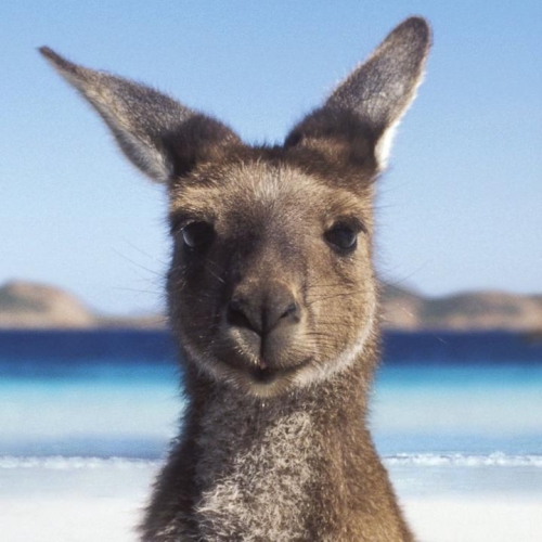 australia
